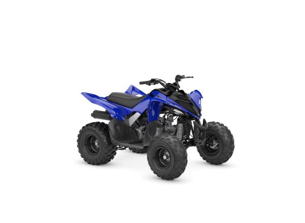 2025 YFM110R